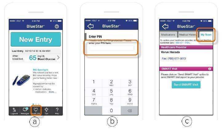 WellDoc BlueStar or WellDoc DiabetesManager System and DiabetesManager Rx System